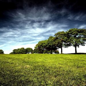 Sesión Fotográfica Naturaleza Pro