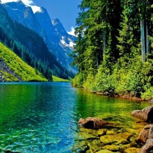 Sesión Fotográfica Naturaleza Premium