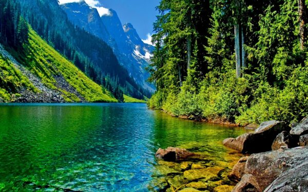 Sesión Fotográfica Naturaleza Premium